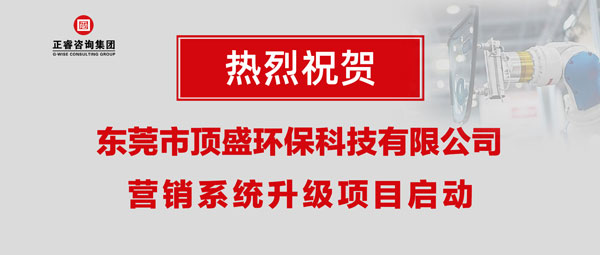 東莞市頂盛環?？萍加邢薰緺I銷系統升級項目啟動