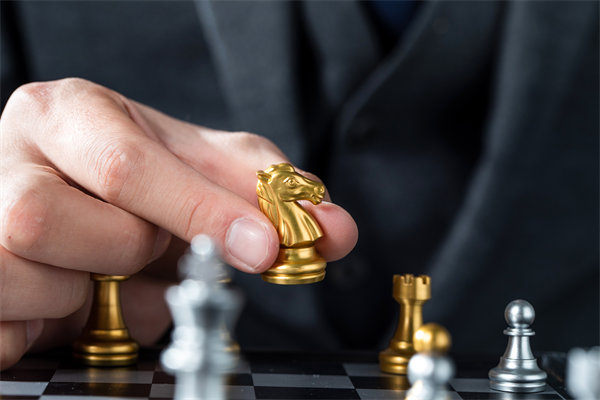 戰(zhàn)略咨詢，揭秘成功密碼，引領(lǐng)企業(yè)從優(yōu)秀走向卓越