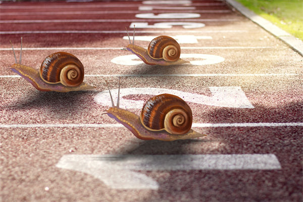 新業(yè)務(wù)拓展艱難，年度經(jīng)營計(jì)劃為其定制專屬發(fā)展路徑