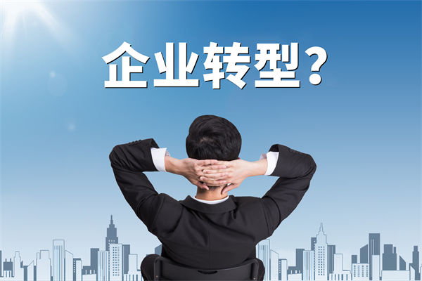 企業(yè)轉(zhuǎn)型無(wú)方向，數(shù)智化咨詢(xún)公司能否指引明路？