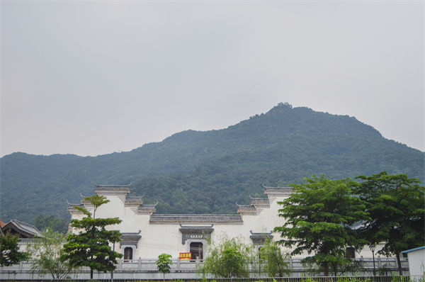 子公司各自為戰內耗大，佛山集團管控咨詢公司有何整合之道？