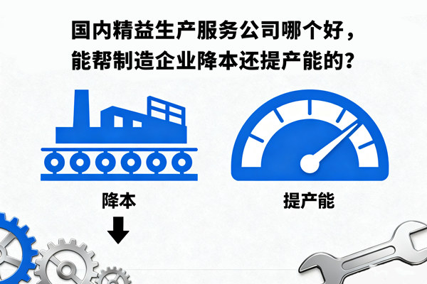 國(guó)內(nèi)精益生產(chǎn)服務(wù)公司哪個(gè)好，能幫制造企業(yè)降本還提產(chǎn)能的？