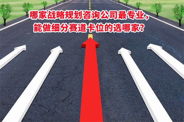 哪家戰(zhàn)略規(guī)劃咨詢公司最專業(yè)，能做細(xì)分賽道卡位的選哪家？